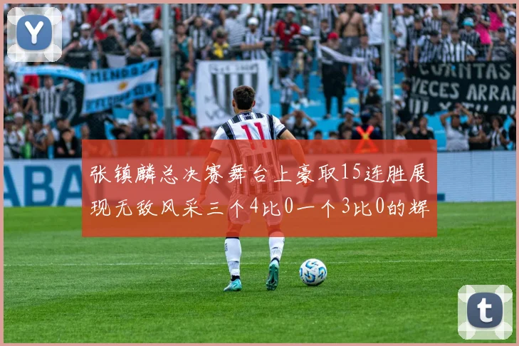 张镇麟总决赛舞台上豪取15连胜展现无敌风采三个4比0一个3比0的辉煌战绩