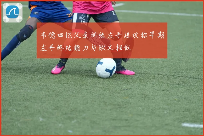 韦德回忆父亲训练左手进攻称早期左手终结能力与欧文相似